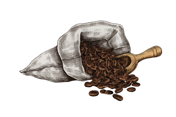 hand-drawn-coffee-beans-in-bag-removebg-preview
